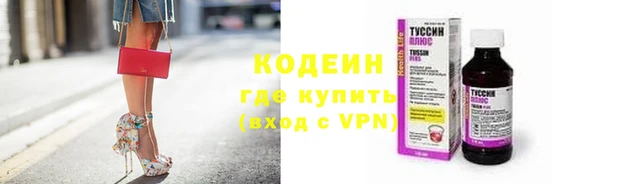 молекула духа Покров