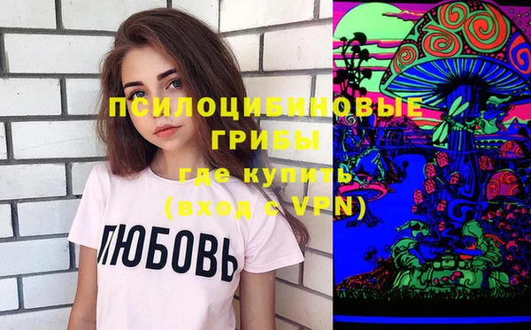 Альфа ПВП Абаза