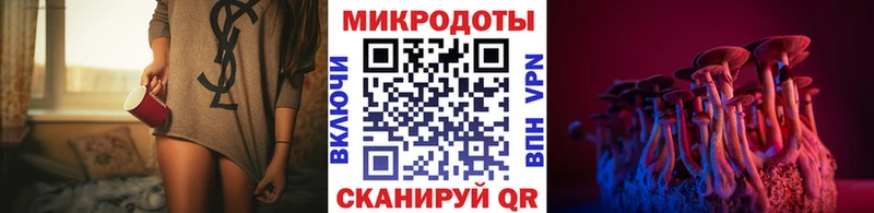 Псилоцибиновые грибы Psilocybine cubensis  Старый Крым 